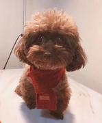 Craaazy77的个人资料头像