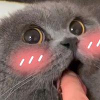 别拿塞斯不当库里4055头像