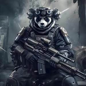 熊猫特种兵头像