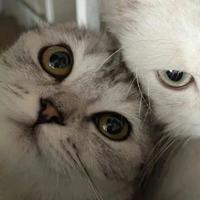 用户4463852136358头像