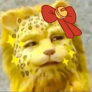 淘气熊头像