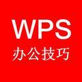 WPS办公技巧头像