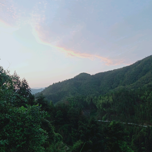 十里茶湘头像