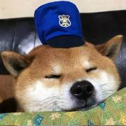 深林581的个人资料头像