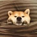 一人之下的逗比头像