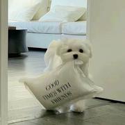 anuily583的个人资料头像