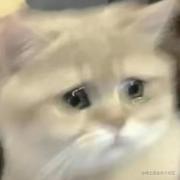 我心永恒Lv29的个人资料头像