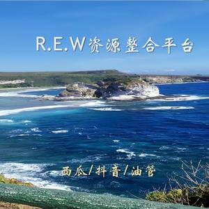 REW平台头像