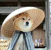 调皮老Y的个人资料头像