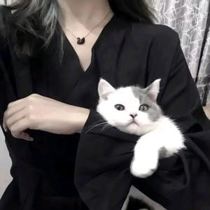 小智慧头像