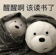 jzhmcoo1的个人资料头像