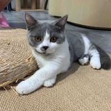 小小媛子96头像