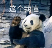 今天减三斤的个人资料头像