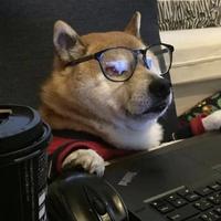 自由的小胖子头像