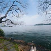 浩然正气猪佩奇的个人资料头像