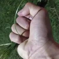 潇洒山丘tc头像