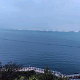 率真苹果0Xd头像