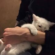 柒贰小霸王丶的个人资料头像