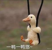 ZYZY106603的个人资料头像