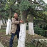 独坐观心8755头像