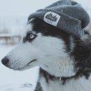 L丶97的个人资料头像