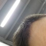 正儿八经小青年的个人资料头像