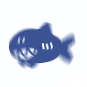 山鱼的个人资料头像