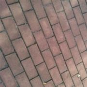 DinoChan的个人资料头像