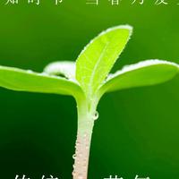 用户7233959646811头像