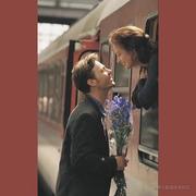 SPFA的个人资料头像