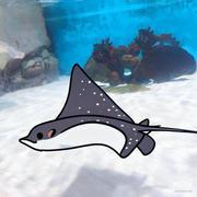 TinyManta的个人资料头像