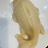 望雨水头像