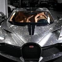 敏锐的鹑尾头像