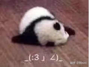 许逢逢的个人资料头像