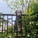 命运的个人资料头像