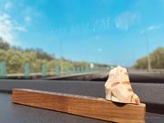 Xiaocheng的个人资料头像