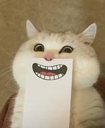 独立开发者阿强的个人资料头像