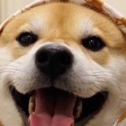 Traitor35的个人资料头像