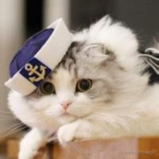 abel的个人资料头像