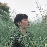 较场尾龙岐湾游艇小陈头像
