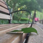 moqsien的个人资料头像