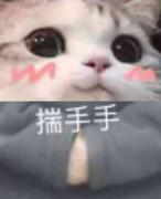 快乐的黄黄的个人资料头像