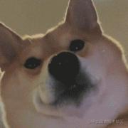 今天没写bug的个人资料头像