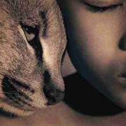 jerry_stone的个人资料头像