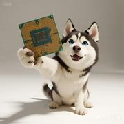 hhuang999的个人资料头像