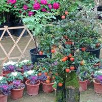 诗意生活家Rud头像