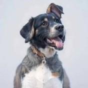 用户5522046671061的个人资料头像