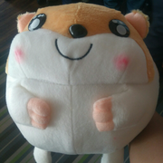 LG27的个人资料头像