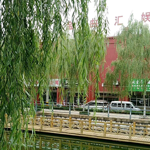 今生无悔头像