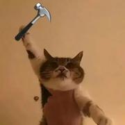 用户4172646790625的个人资料头像